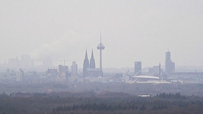 Wallpaper Blick auf Köln