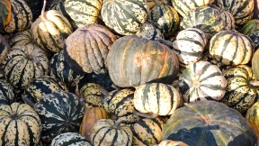 Wallpaper Krbisse pumpkins