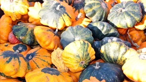 Wallpaper Krbisse pumpkins