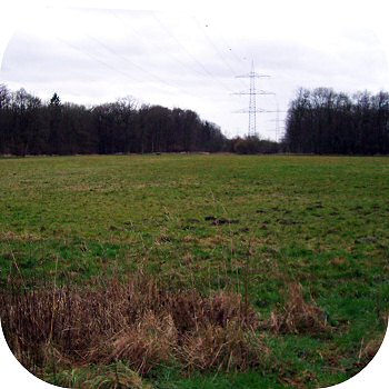 Waldlager Lohmar Sportplatz